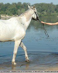 Стройняшка с лошадью возле озера 9 фотография