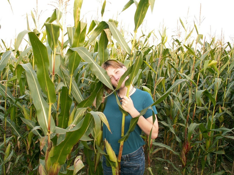 Секс на кукурузном поле (29 фото) - порно