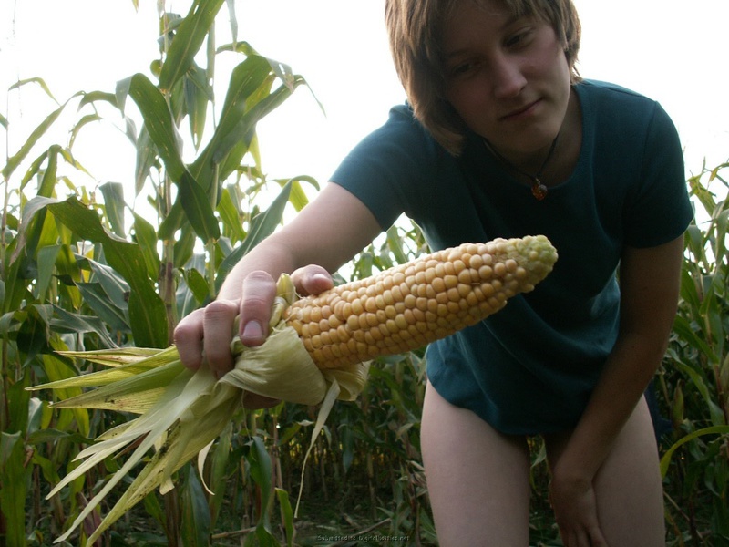 Девка засунула в себя кукурузу 21 фото